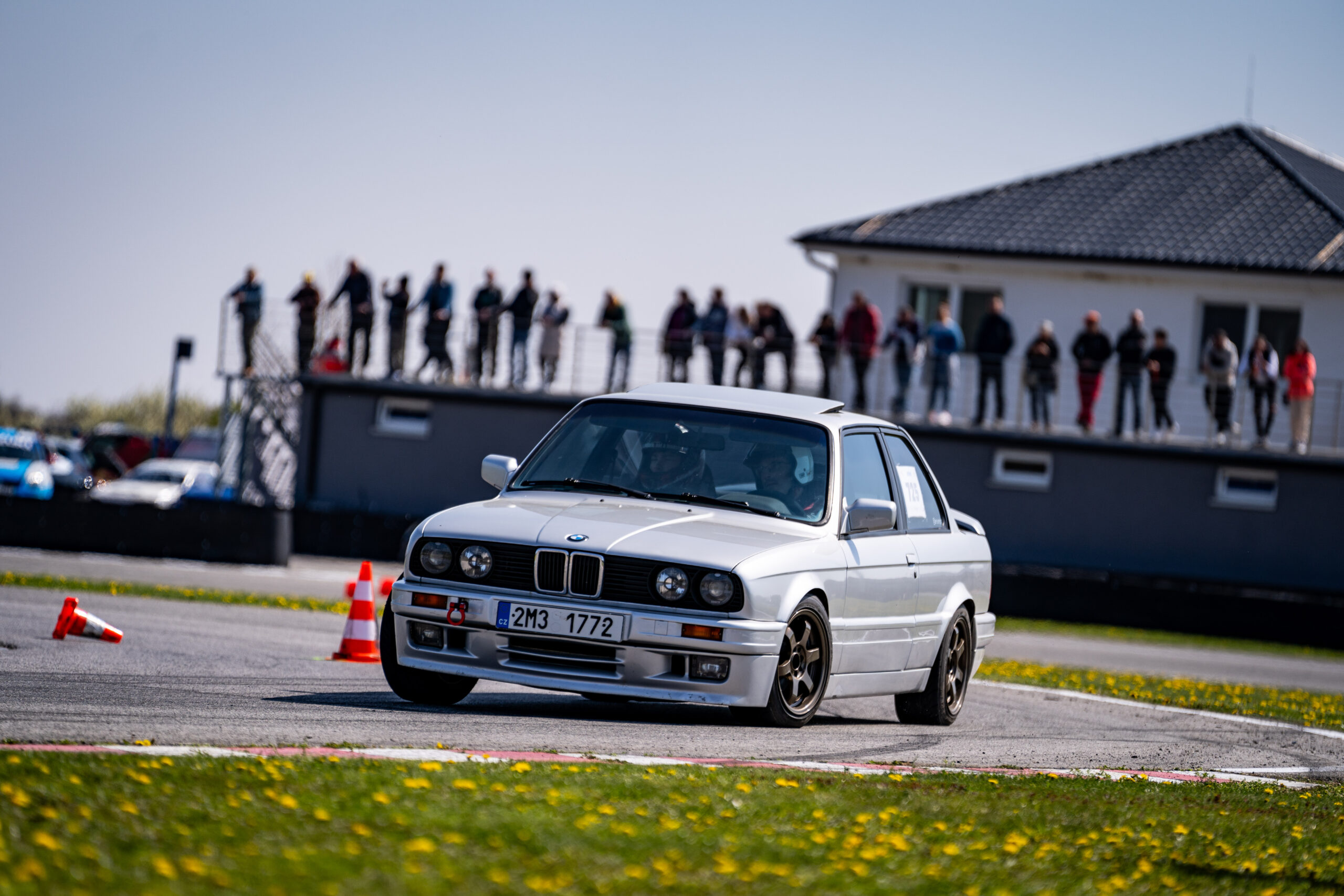 2026 - Dlhá SMALL (146)